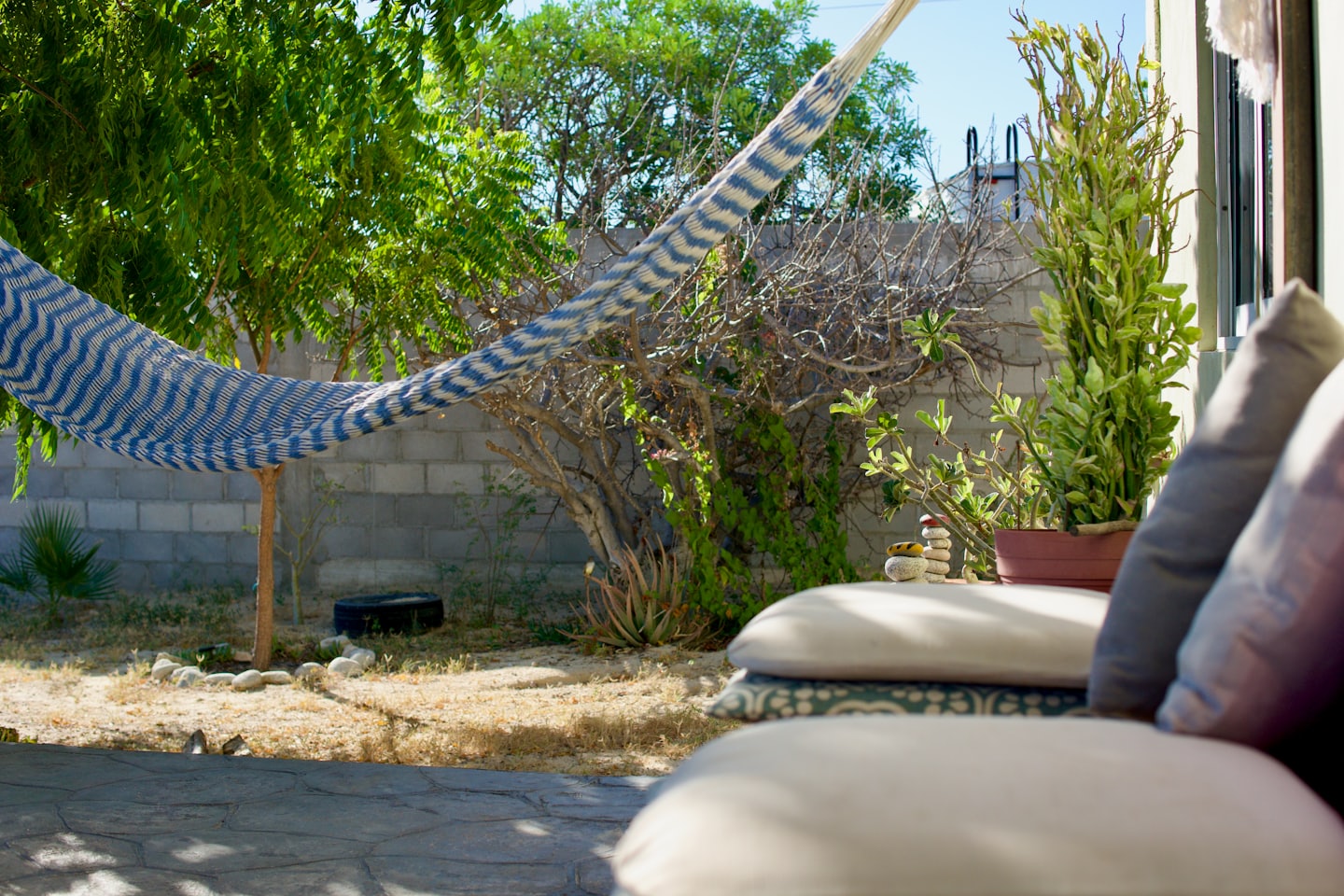Blue and white striped hammock hanging between two backyard trees.