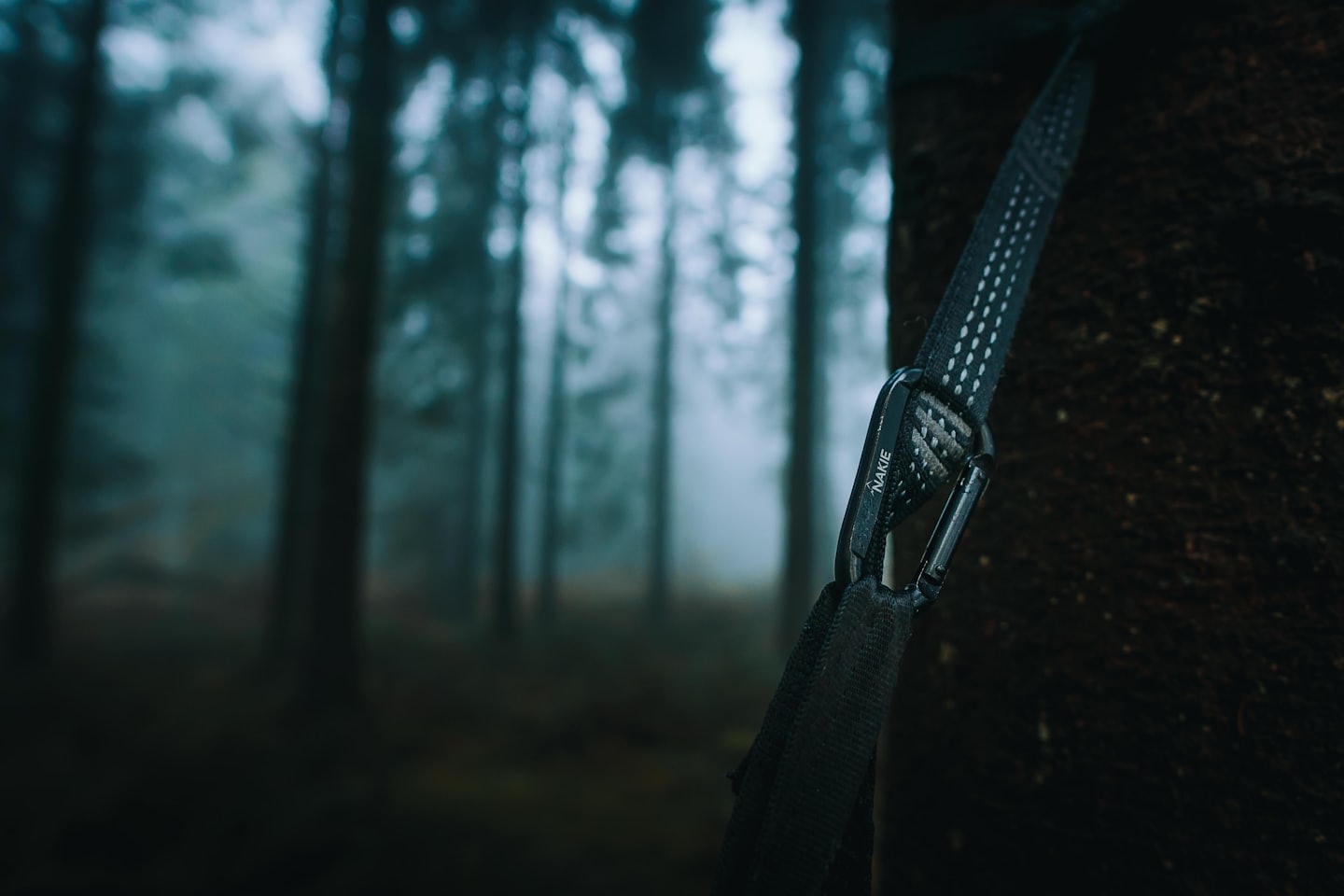 A black hammock strap secured around a textured tree trunk.
